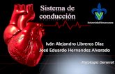 Sistema de conducción del corazon