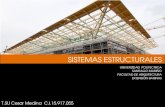 Sistemas Estructurales / Cesar Medina