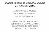 Ecosistemas o biomas como zonas de vida