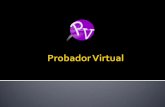 Probador virtual