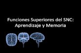 Aprendizaje y Memoria- Funciones Superiores del SNC