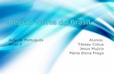 Regiao norte Brasil nivel 3 curso portugues