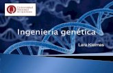 Ingeniería genética. editado