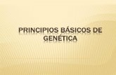 Genética: principios básicos para la enseñanza secundaria
