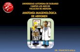 Semiologia radiologica de abdomen
