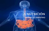 A nutrición  dixestivo e repiratorio