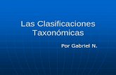 Las clasificaciones taxonómicas