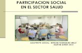 Presentacion participacion social funcionarios 2013