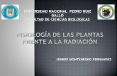 Fisiología de las plantas frente a la radiación( para expo)