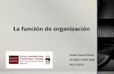 La función de organización