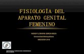 Fisiología del aparato genital femenino