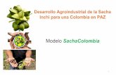 Proyecto sacha colombia pais