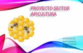 Proyecto sector apicultura