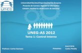 UNEG-AS 2012-Pres1: Control interno
