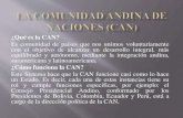 La comunidad andina de naciones (can)