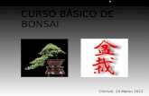 Presentacion Curso Bonsai Chirivel marzo 2012