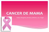 Cancer de mama proyecto