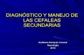 DiagnóStico Y Manejo De Las Cefaleas Secundarias