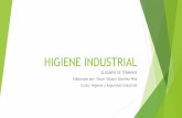 Higiene industrial (Glosario de términos de riesgos)