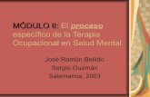Modulo II A Aproximacion integral de la Terapia Ocupacional en Salud Mental. Salamanca 2003-2005