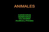 Presentación: Animales