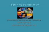 Servicios de internet V