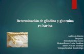 Determinación de gliadina y glutenina en harina
