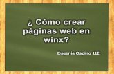 ¿Cómo hacer páginas web a través de winxs?