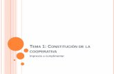 Constitución De La Cooperativa