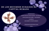 Sintesis del libro de los recursos humanos al capital humano