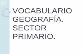 Vocabulario geografia / sector primario