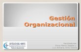 Curso gestión organizacional (1)