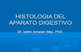 Histologia del aparato digestivo