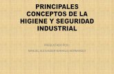 Principales conceptos de la higiene y seguridad industrial - Manuel A. Naranjo