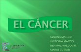 Salud / Cancer 1