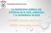 La protección jurídica del software en el perú, argentina y la experiencia de ee.uu