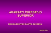 Clase Aparato digestivo sup -2°
