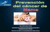 Prevención cancer Mama