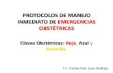 Protocolos de Manejo Inmediato de Emergencias Obstetricas: Claves Obstétricas