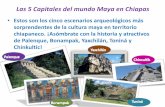 Las 5 ciudades  del mundo maya
