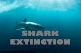 Shark Extinction