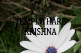 Templo hare krishna