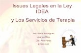 Issues legales en la ley IDEA