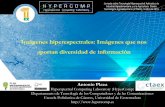 Imagenes que nos aportan diversidad de información. Antonio. J. Plaza. (Hypercomp) UEX