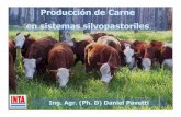 Recuperación de áreas degradadas e intensificación sostenible de sistemas silvoagropecuarios como una respuesta al cambio climático en América Latina