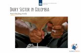 El sector lechero holandés: evolución, estado actual y experiencia que ofrece a Colombia