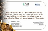 Identificación de la vulnerabilidad de las familias cafetaleras en sus medios de vida y posibles estrategias de adaptación al cambio climático en tres zonas de Nicaragua