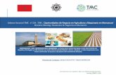 Informe sectorial n. 234 . oportunidades negocio en agricultura y maquinaria en marruecos