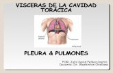 Pleura y pulmones anatomia practica