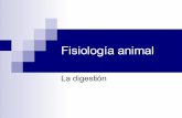 Fisiología animal: Nutrición